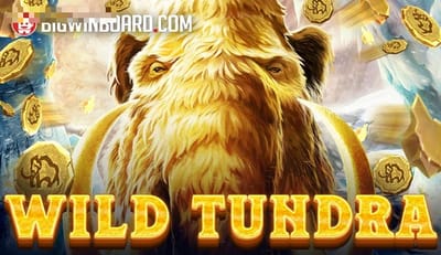 Wild Tundra